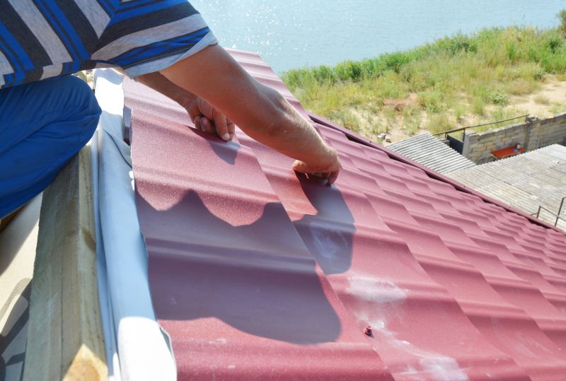 Metal Roof Painting