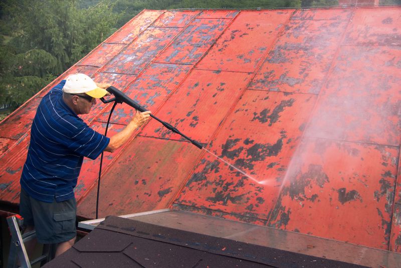 Metal Roof Painting