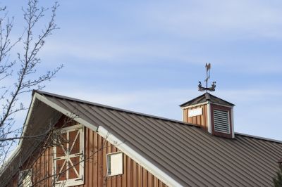 Products For Metal Roof Paintings in use
